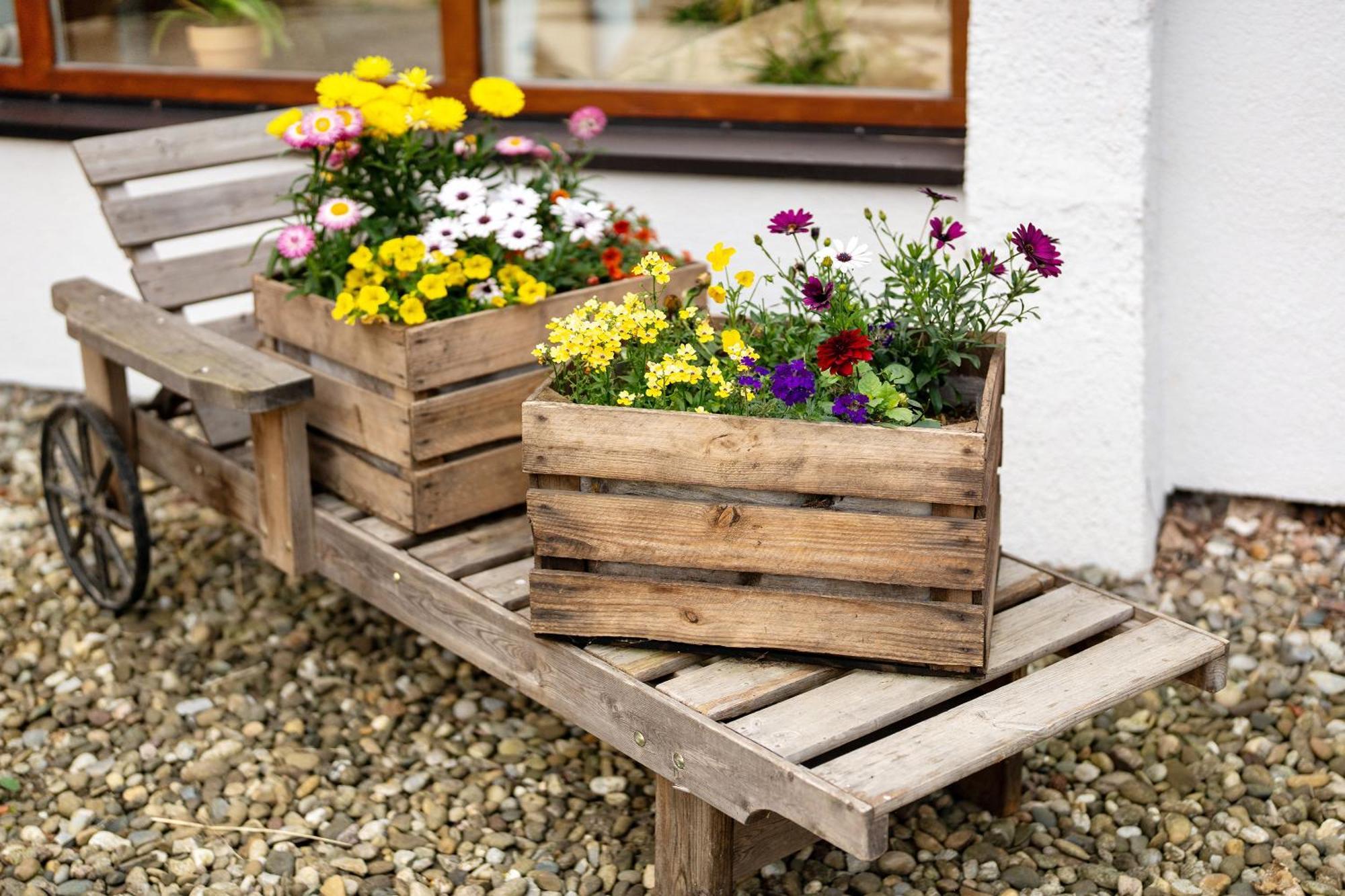 Fewo Naturliebe - Keine Monteure Dornhan Exterior photo