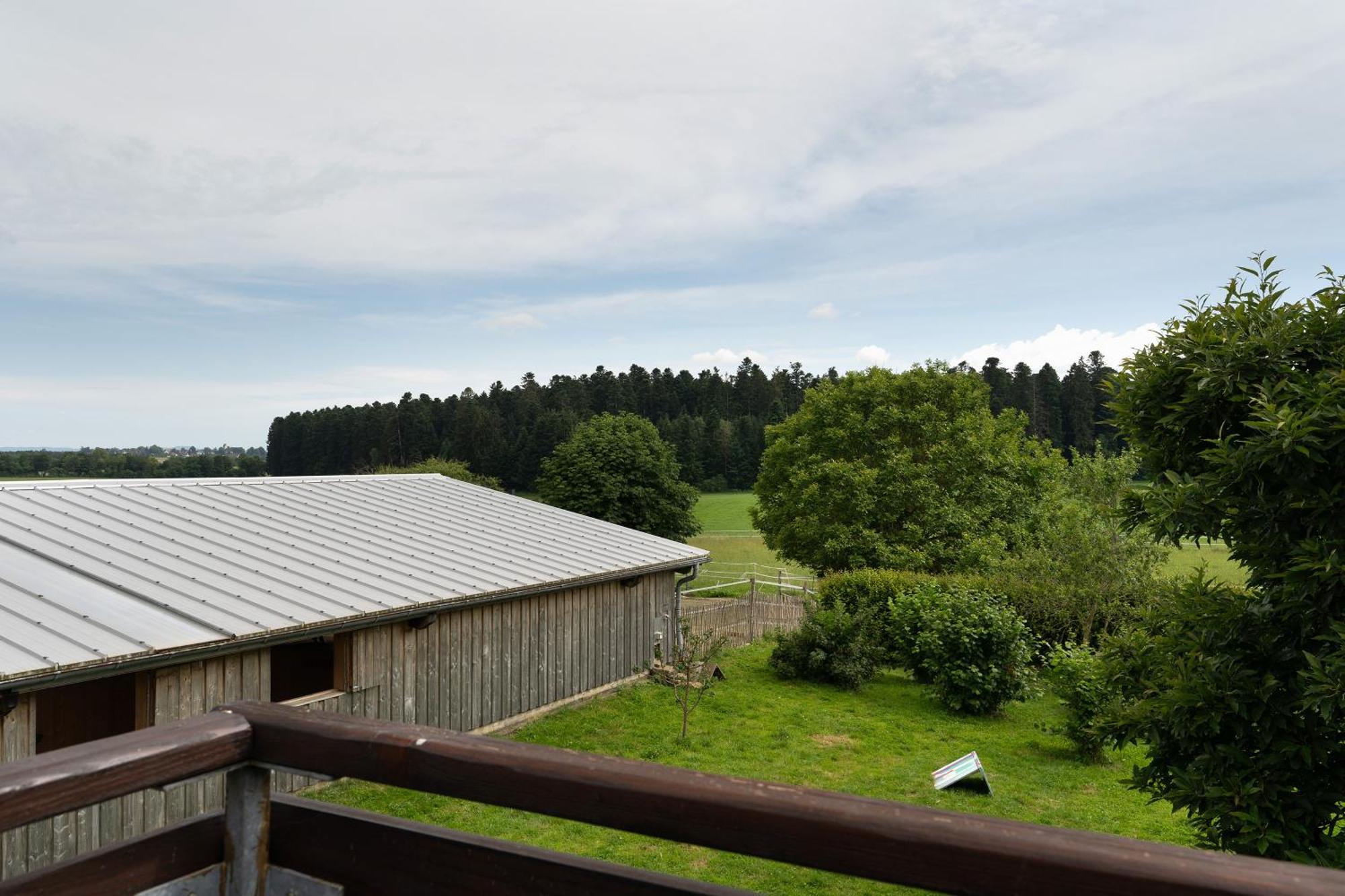 Fewo Naturliebe - Keine Monteure Dornhan Exterior photo